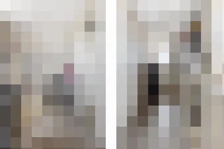 Parkmos 7 Nieuwerkerk aan den IJssel thumbnail 25
