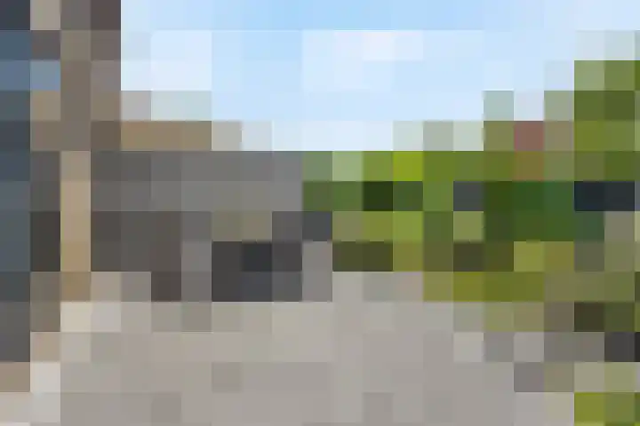 Parkmos 7 Nieuwerkerk aan den IJssel thumbnail 27