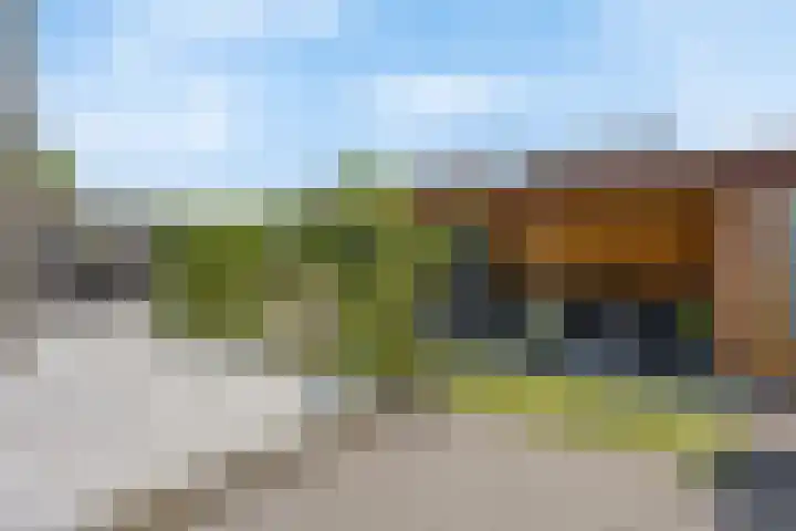 Parkmos 7 Nieuwerkerk aan den IJssel thumbnail 29