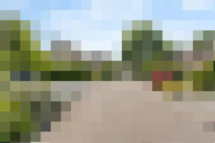 Parkmos 7 Nieuwerkerk aan den IJssel thumbnail 33