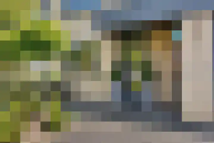 Parkmos 7 Nieuwerkerk aan den IJssel thumbnail 4