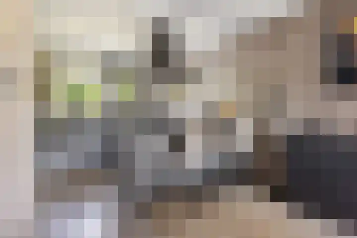 Parkmos 7 Nieuwerkerk aan den IJssel thumbnail 6