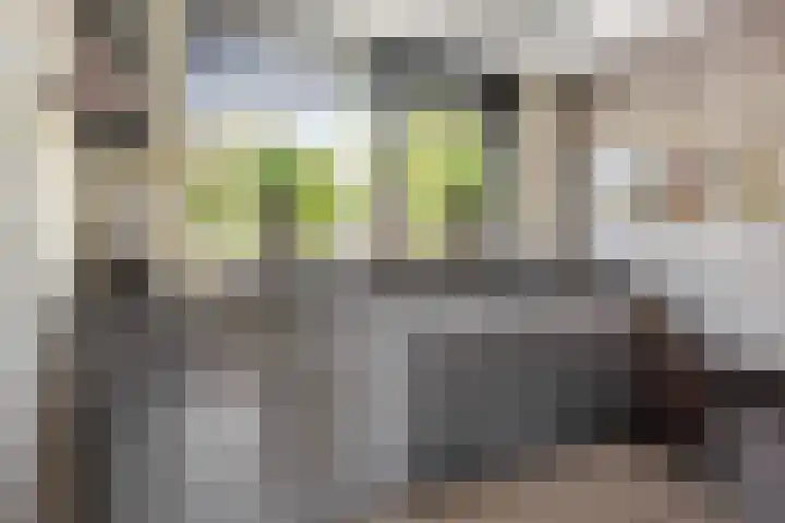 Parkmos 7 Nieuwerkerk aan den IJssel thumbnail 7