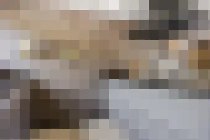 Parkmos 7 Nieuwerkerk aan den IJssel thumbnail 8