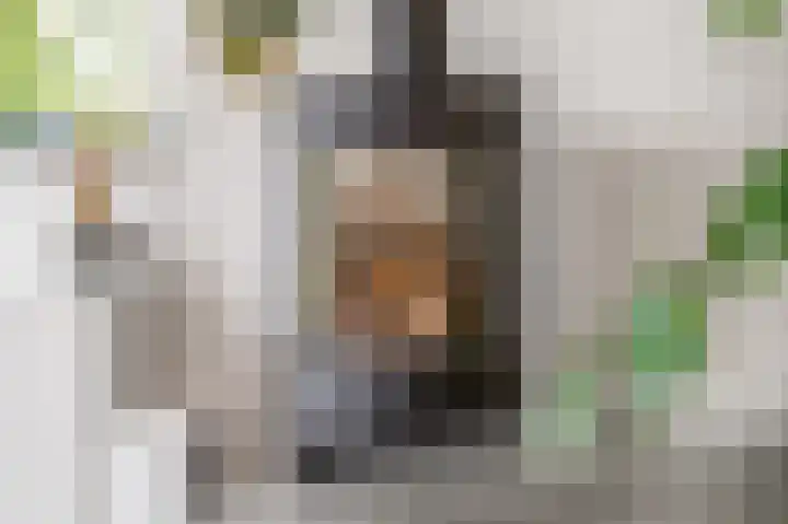 Parkrand 28 Ede thumbnail 11