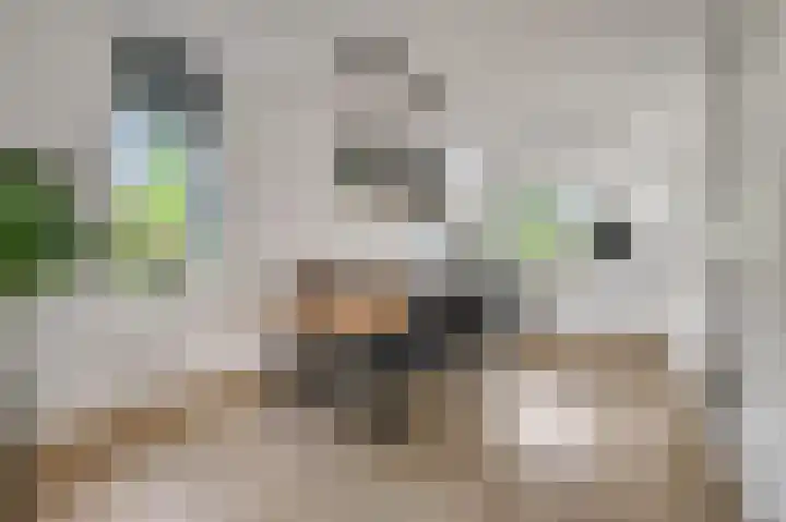 Parkrand 28 Ede thumbnail 14