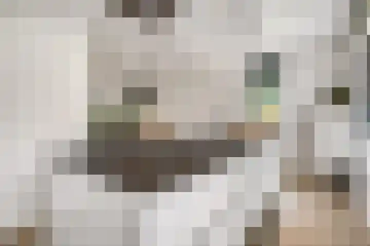 Parkrand 28 Ede thumbnail 16