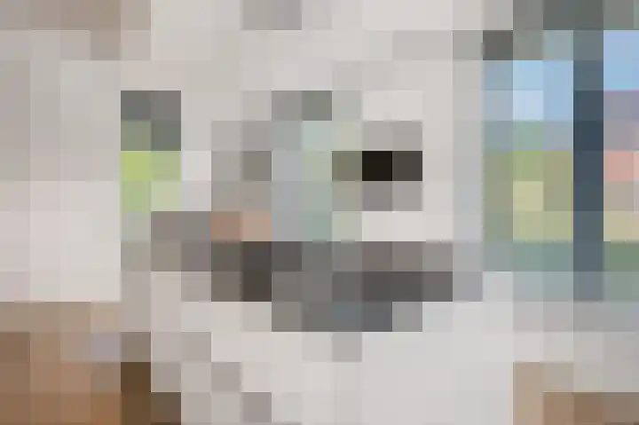 Parkrand 28 Ede thumbnail 17