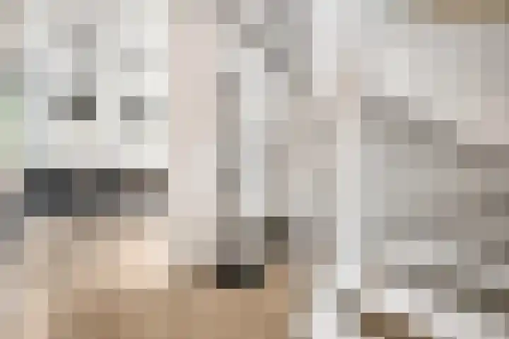 Parkrand 28 Ede thumbnail 23