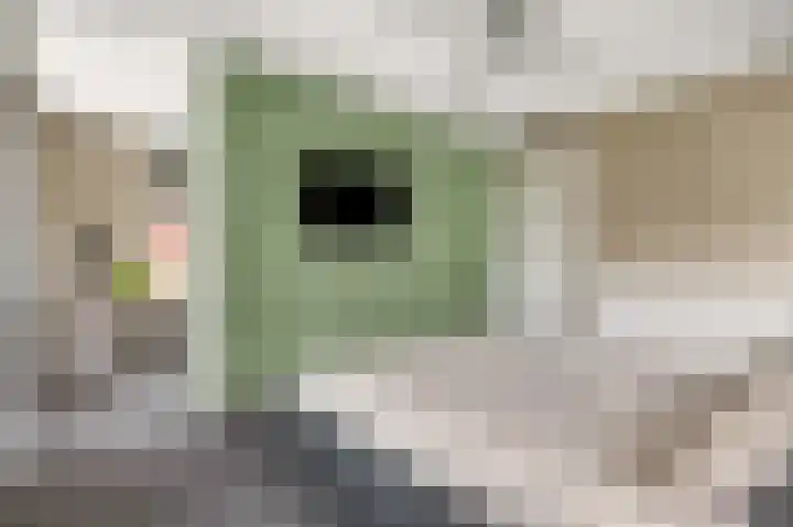 Parkrand 28 Ede thumbnail 27