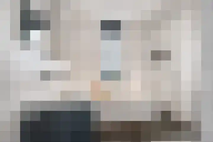 Parkrand 28 Ede thumbnail 31