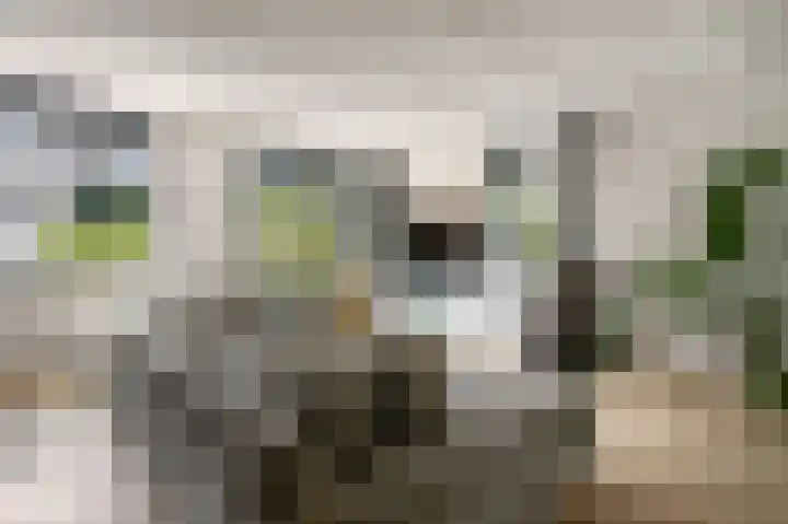 Parkrand 28 Ede thumbnail 6