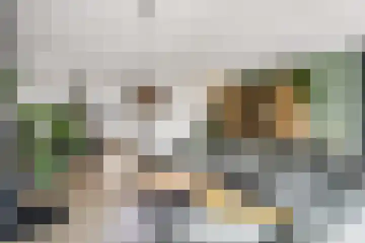 Parkrand 28 Ede thumbnail 7