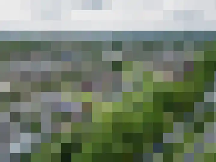 Parkrand 28 Ede thumbnail 70