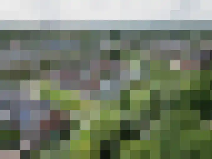 Parkrand 28 Ede thumbnail 71