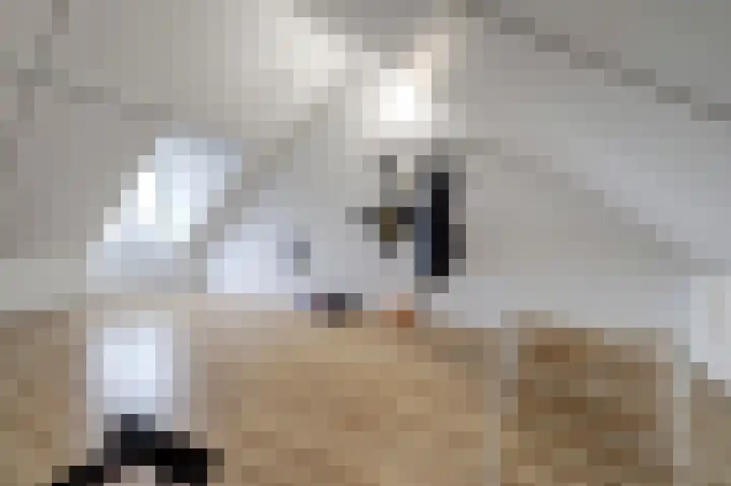 Parkrand 6 Ede thumbnail 29