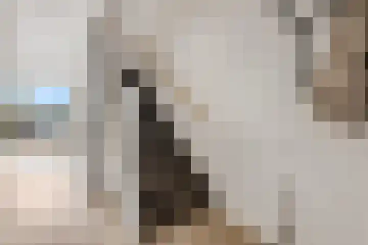 Parkrand 69 Ede thumbnail 14
