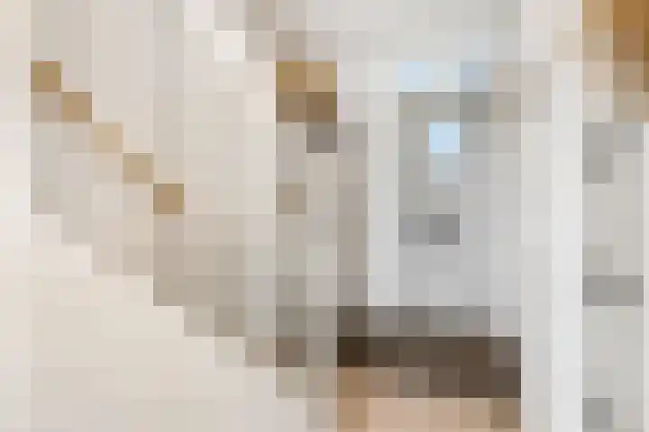 Parkrand 69 Ede thumbnail 31