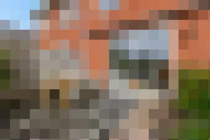 Parkrand 69 Ede thumbnail 34