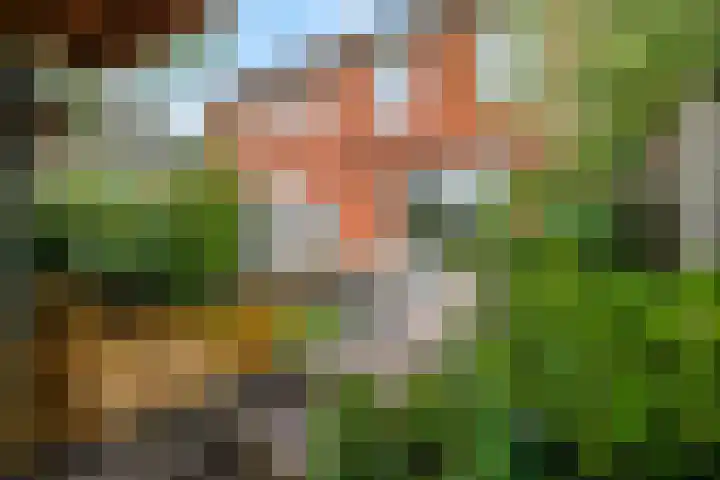 Parkrand 69 Ede thumbnail 35