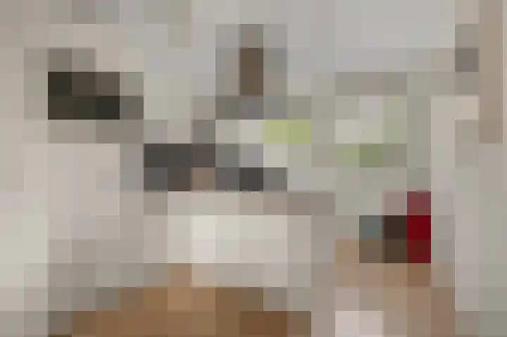 Parkrijklaan 124 Assendelft thumbnail 10