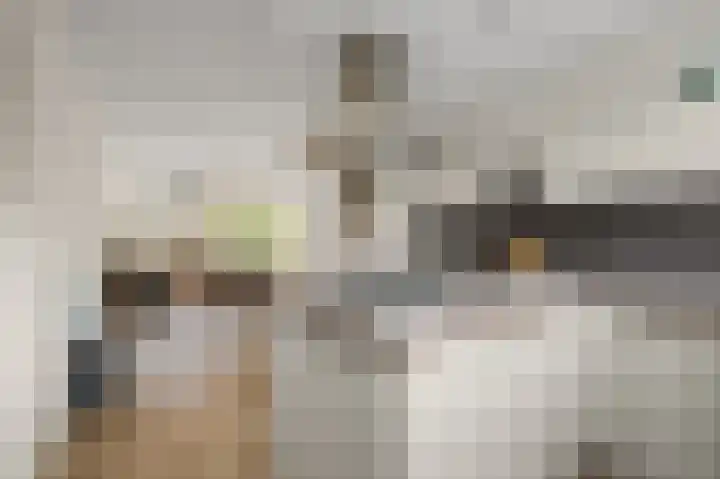 Parkrijklaan 124 Assendelft thumbnail 11