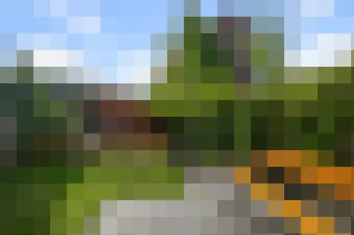 Parkrijklaan 124 Assendelft thumbnail 12
