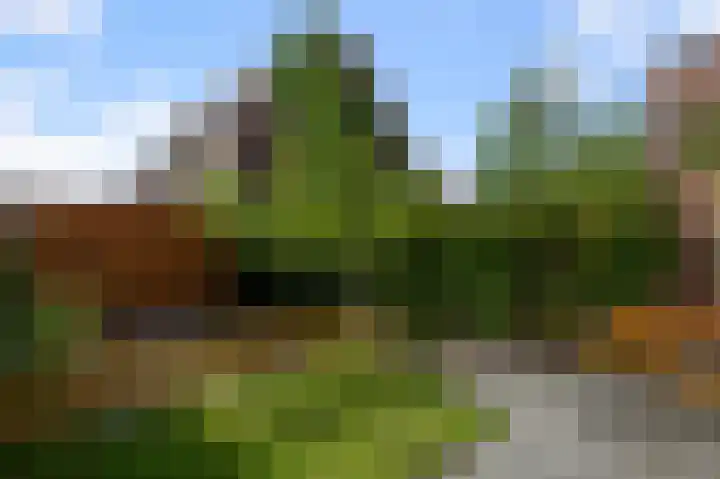 Parkrijklaan 124 Assendelft thumbnail 14