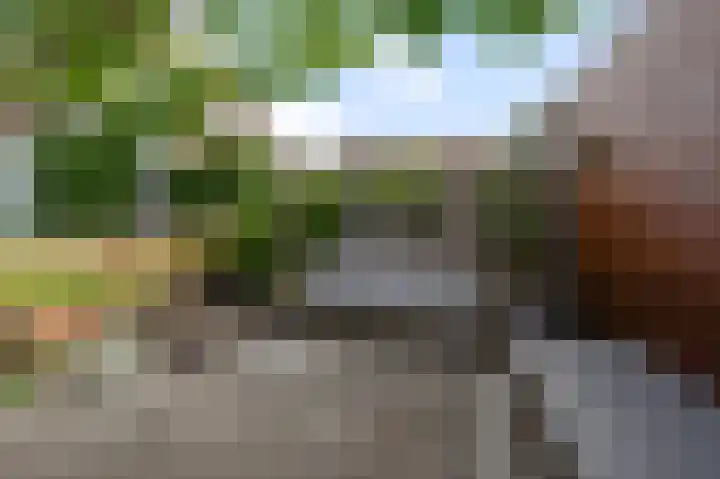 Parkrijklaan 124 Assendelft thumbnail 15
