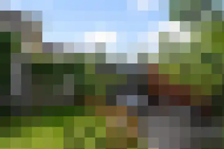 Parkrijklaan 124 Assendelft thumbnail 16