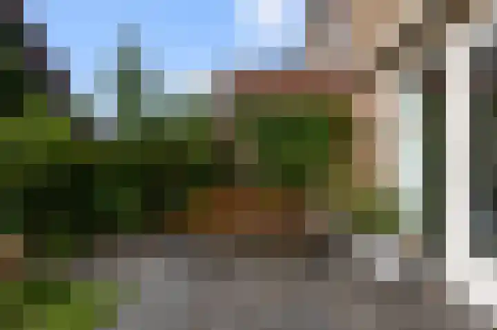Parkrijklaan 124 Assendelft thumbnail 17