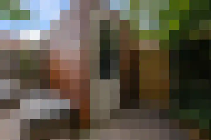 Parkrijklaan 124 Assendelft thumbnail 18