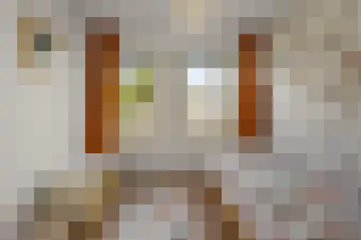 Parkrijklaan 124 Assendelft thumbnail 19
