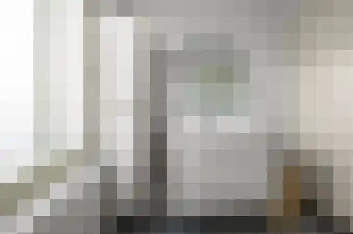 Parkrijklaan 124 Assendelft thumbnail 23