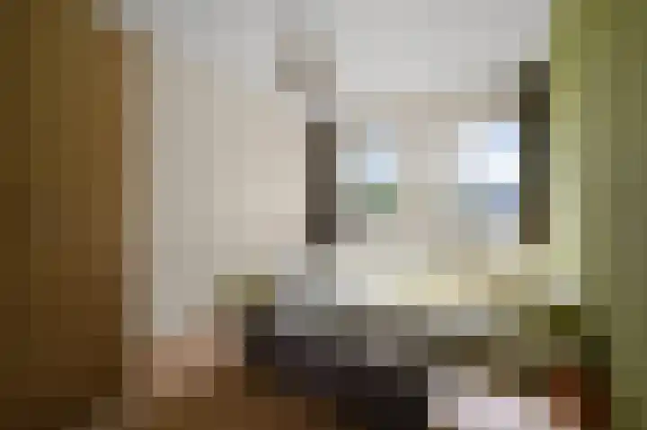 Parkrijklaan 124 Assendelft thumbnail 25