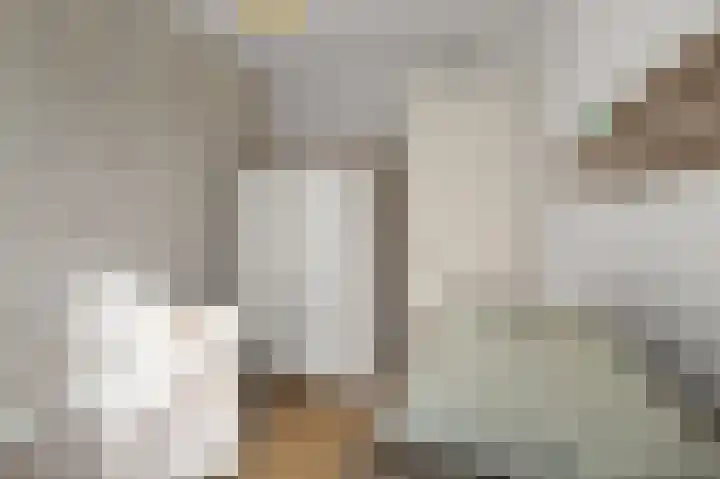 Parkrijklaan 124 Assendelft thumbnail 26