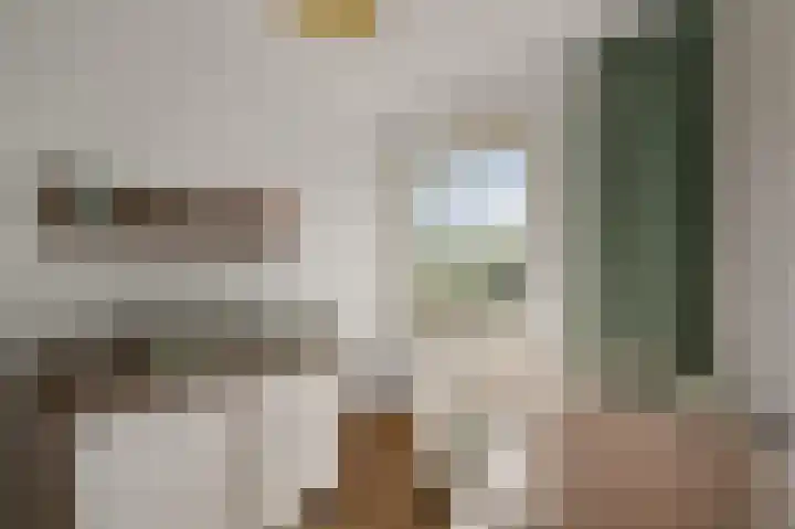 Parkrijklaan 124 Assendelft thumbnail 27