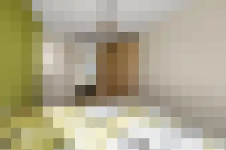 Parkrijklaan 124 Assendelft thumbnail 28