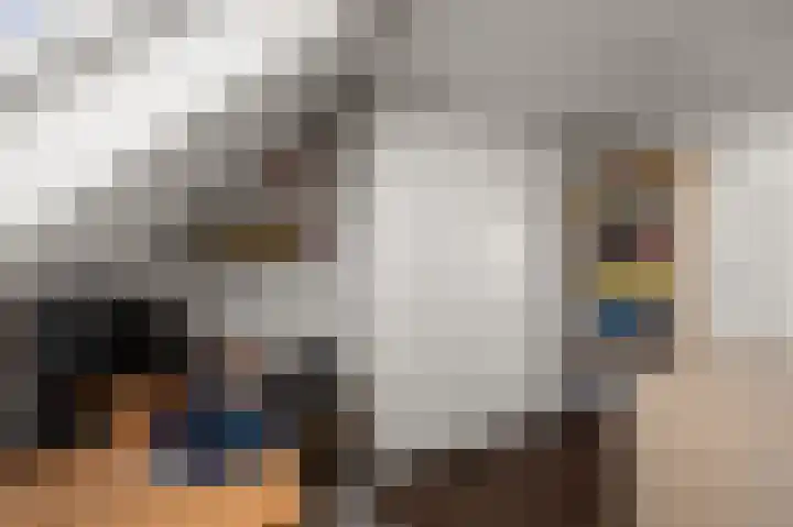 Parkrijklaan 124 Assendelft thumbnail 31