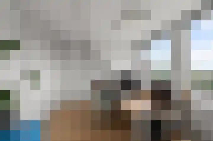Parkrijklaan 124 Assendelft thumbnail 32