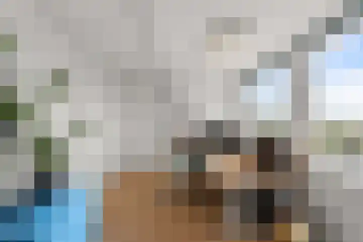 Parkrijklaan 124 Assendelft thumbnail 34