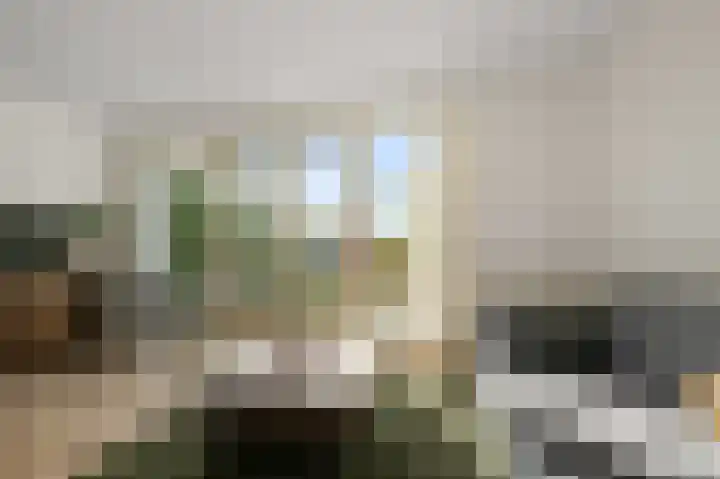 Parkrijklaan 124 Assendelft thumbnail 4