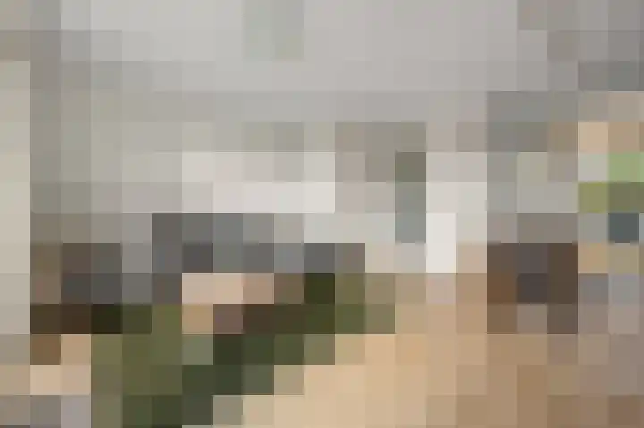 Parkrijklaan 124 Assendelft thumbnail 5