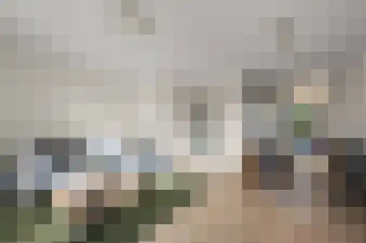 Parkrijklaan 124 Assendelft thumbnail 6