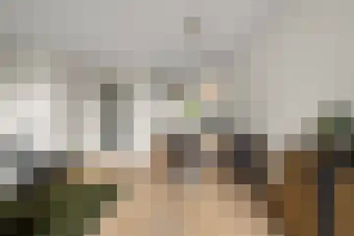 Parkrijklaan 124 Assendelft thumbnail 7