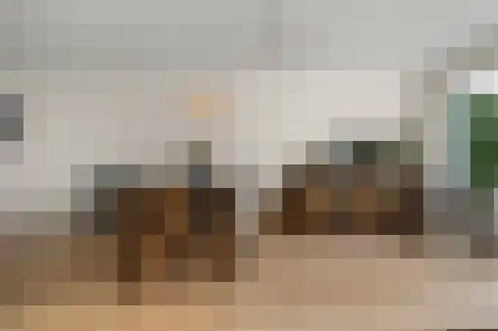 Parkrijklaan 124 Assendelft thumbnail 8