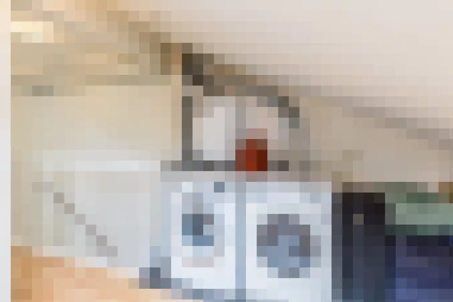 Parkrijklaan 66 Assendelft thumbnail 30