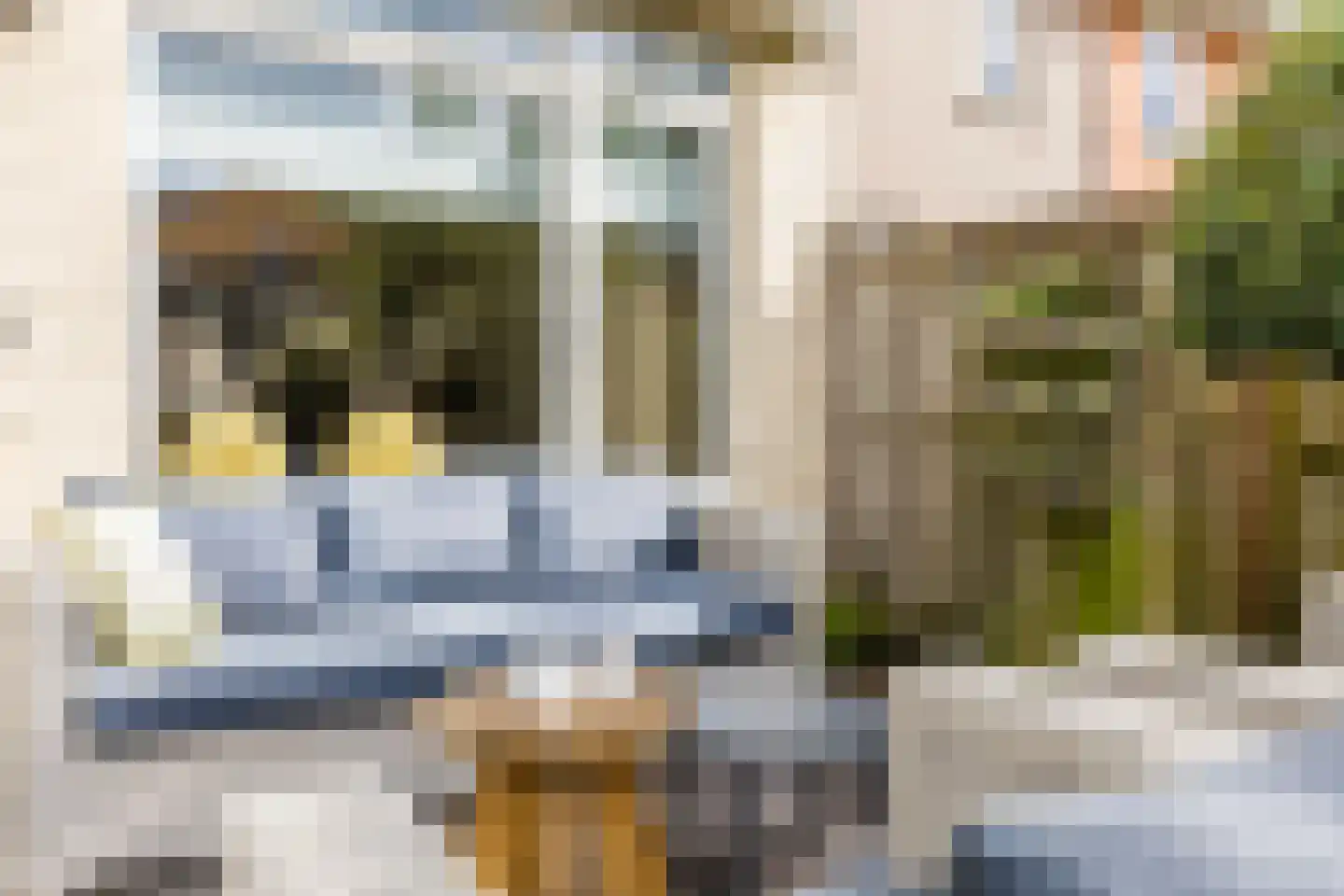 Parkrijklaan 66 Assendelft thumbnail 33