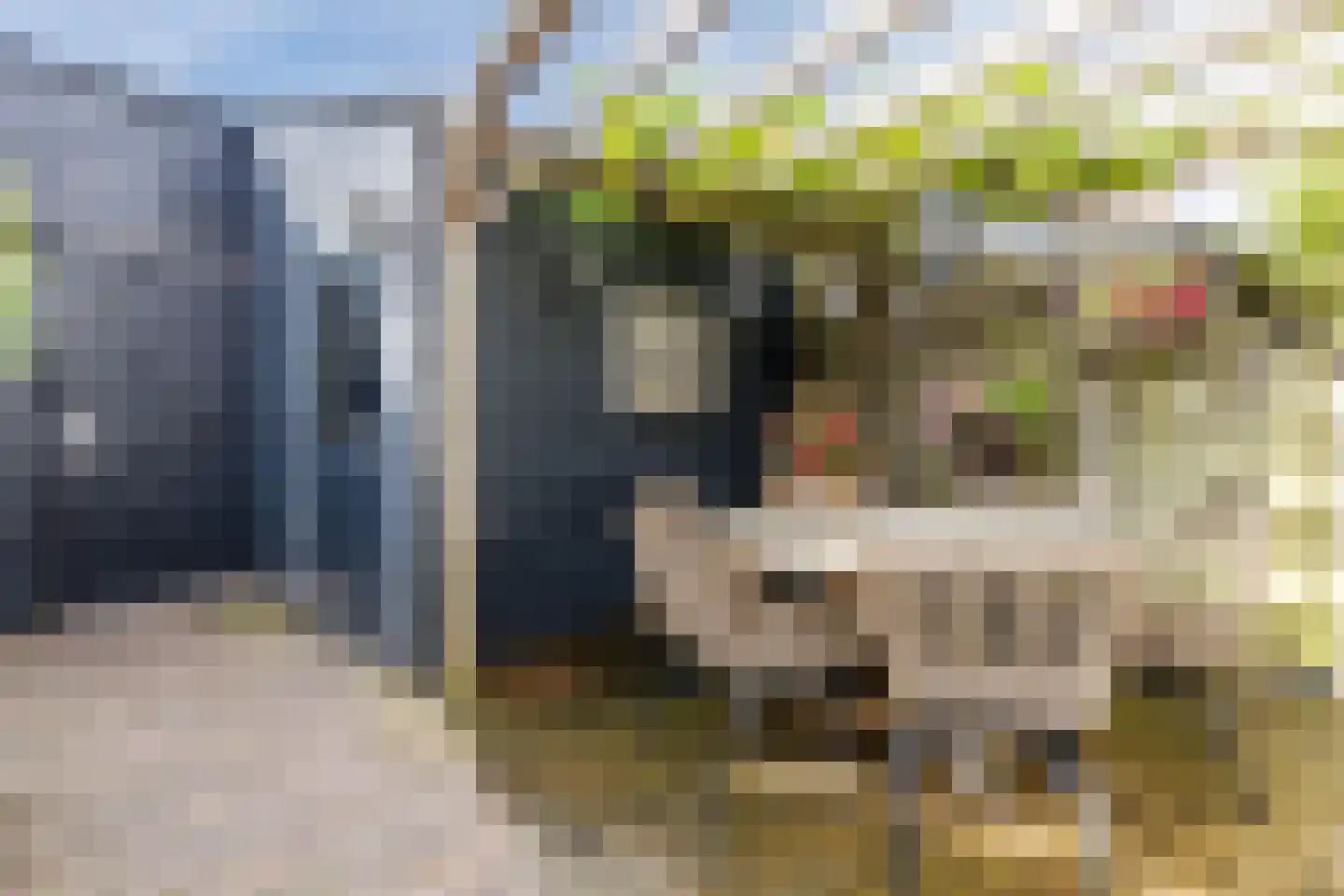 Parkrijklaan 66 Assendelft thumbnail 34