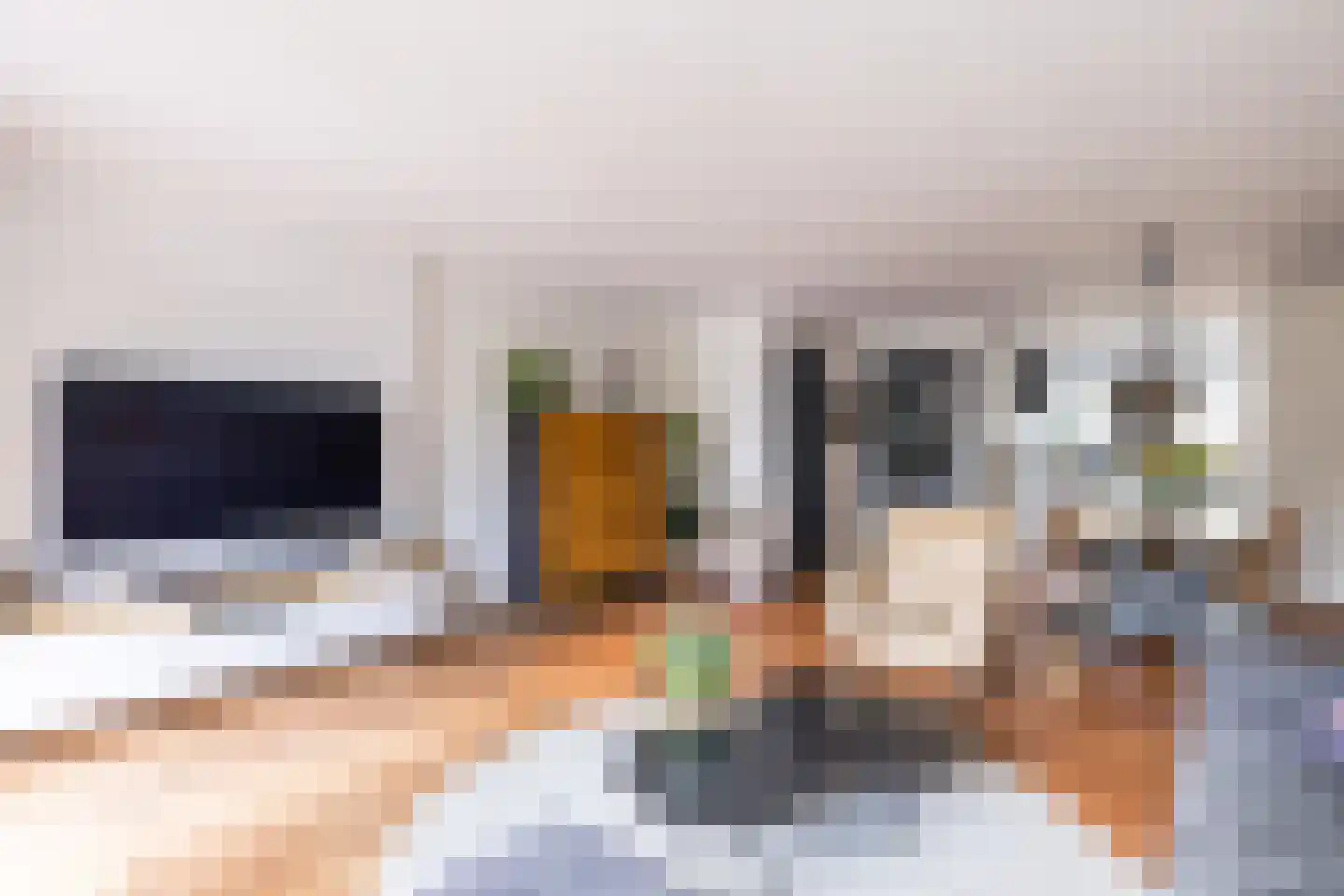 Parkrijklaan 66 Assendelft thumbnail 9